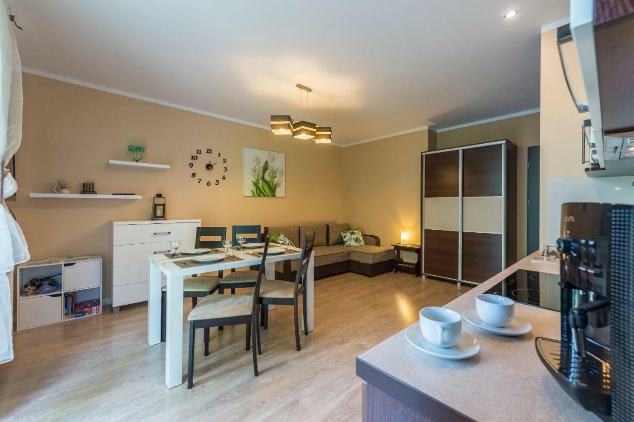 Apartament Brzozowy Zakatek - 5D Apartamenty Swieradow-Zdroj Exterior photo